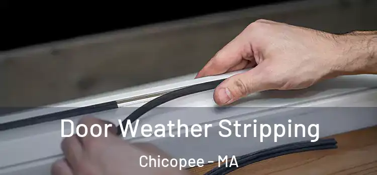 Door Weather Stripping Chicopee - MA