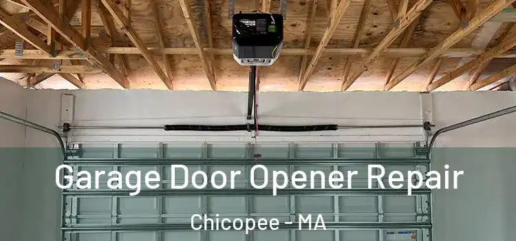  Garage Door Opener Repair Chicopee - MA