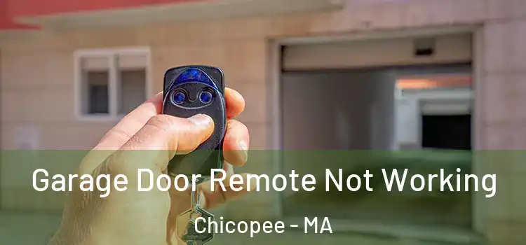  Garage Door Remote Not Working Chicopee - MA