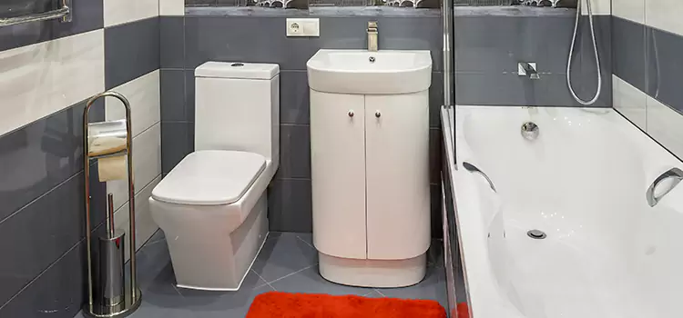 Hansgrohe Shaving Mirror Chicopee