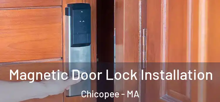  Magnetic Door Lock Installation Chicopee - MA